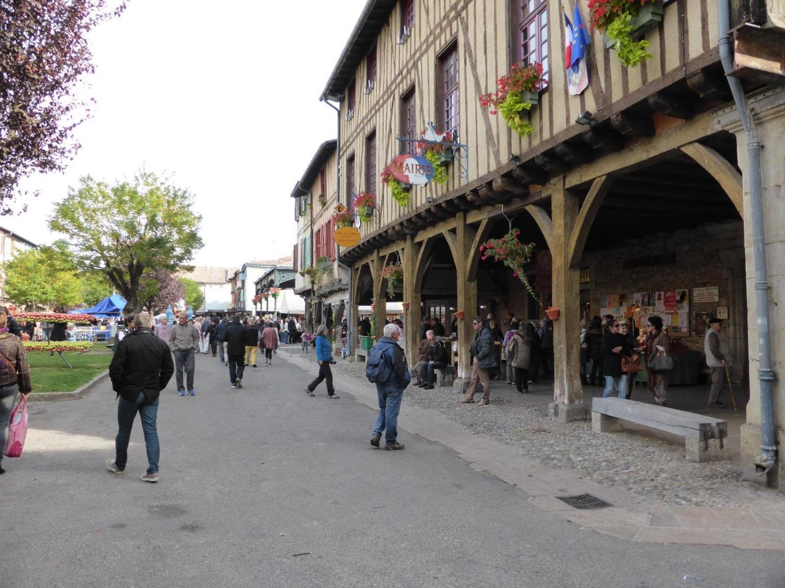 Gite De La Bastide - Typique De Mirepoix Mirepoix  Exterior foto